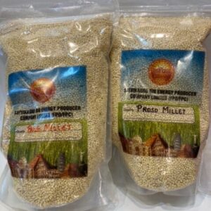 Organic Proso Millet