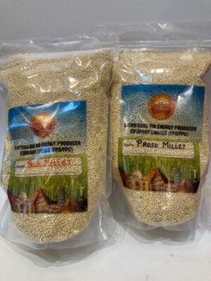Organic Proso Millet